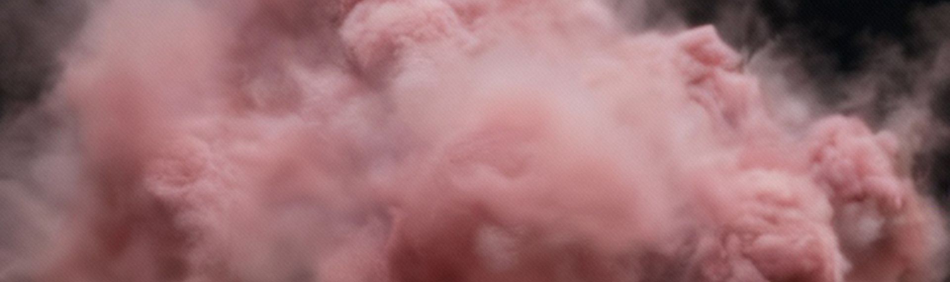 Immagine di presentazione 1