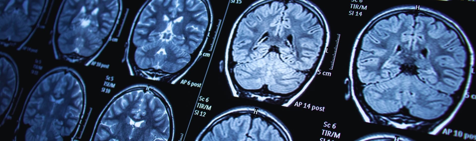 Immagine di presentazione 1 