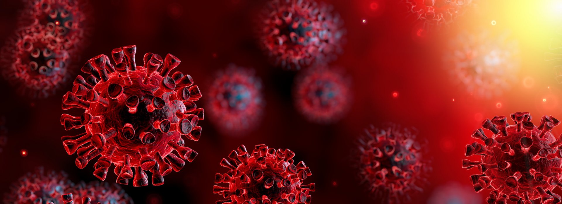 Immagine di presentazione 1 