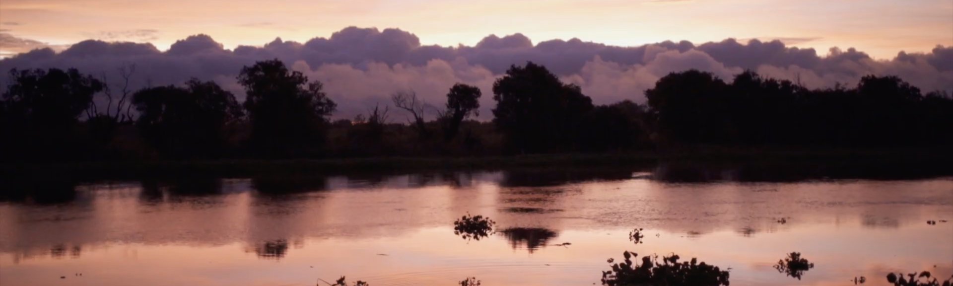 Immagine di presentazione 1 