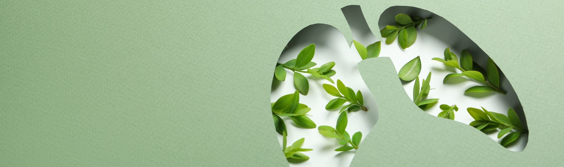 Immagine di presentazione 1 