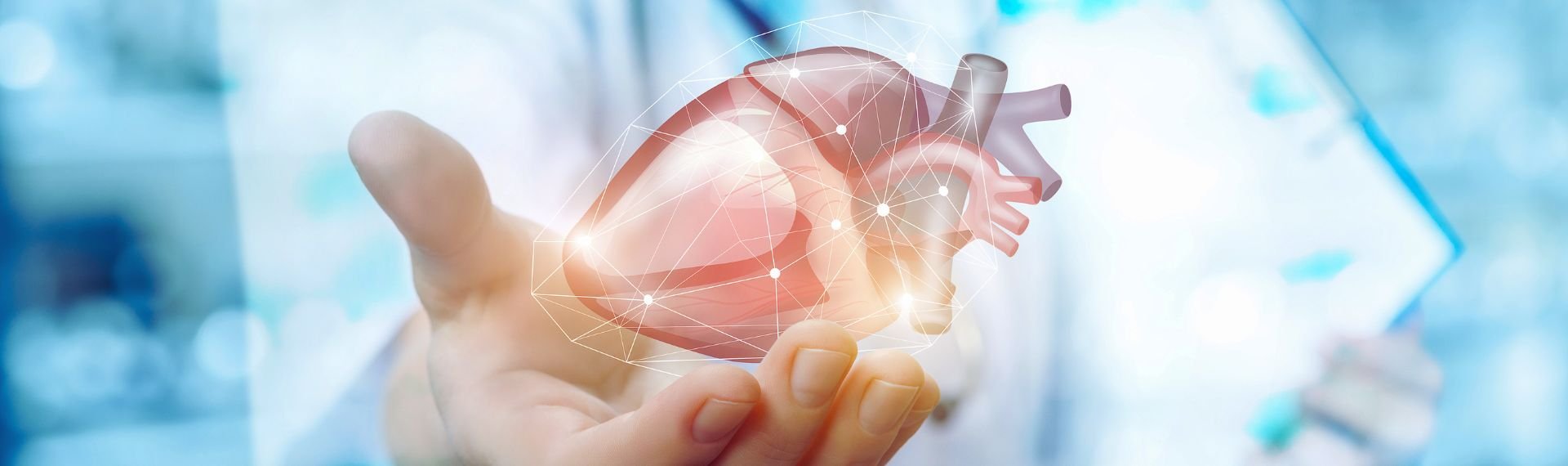 Immagine di presentazione 1 