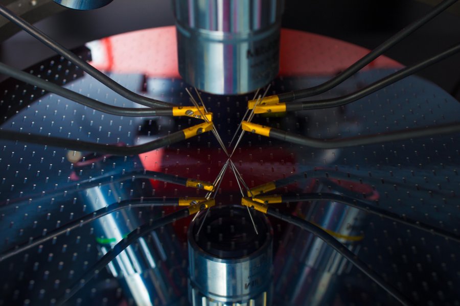 Immagine di presentazione 1 