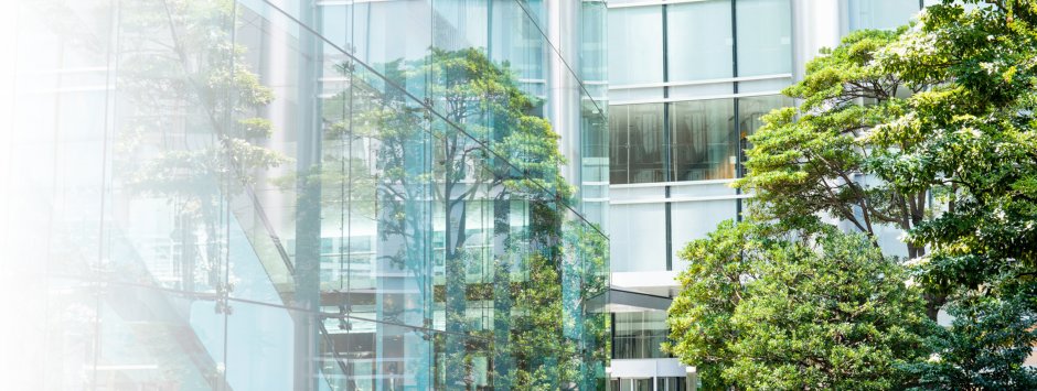 Facade of a modern glass building with large windows, reflecting green trees in the foreground.