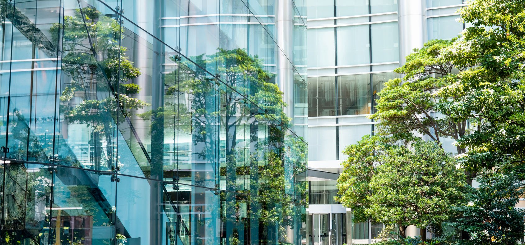 Facciata di un edificio moderno in vetro con ampie finestre, che riflettono alberi verdi in primo piano.