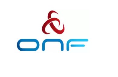 Logo of ONF, featuring a stylized red symbol made of two interconnected rings placed above the text "ONF" in blue.