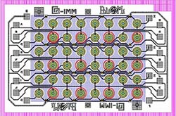 Schema del rivelatore matrice per il conteggio dei fotoni: 48 SPAD pixels of 50 m di diametro.